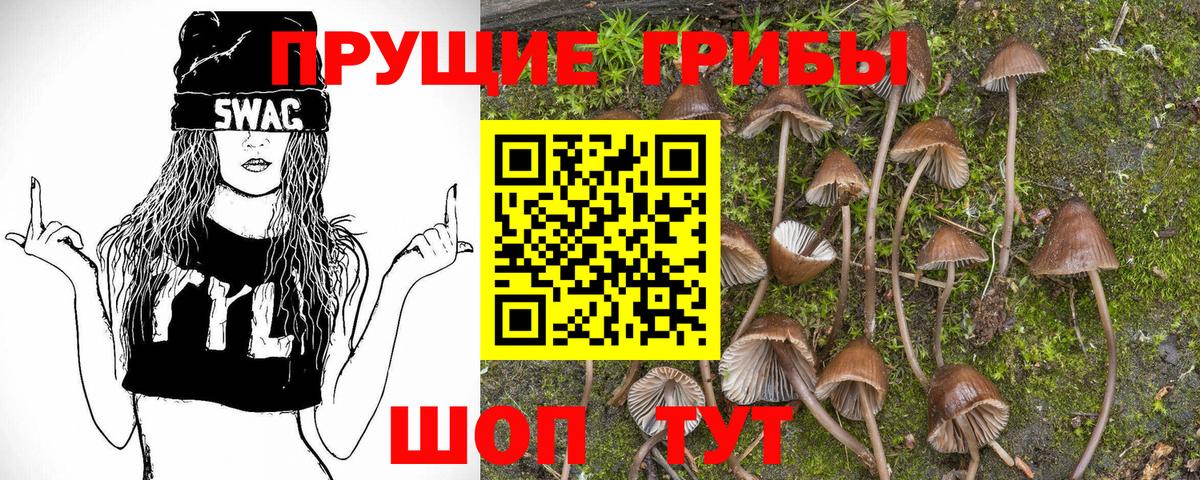 Галлюциногенные грибы GOLDEN TEACHER  Псилоцибиновые грибы мухоморы  Карачаевск  купить   Вход с VPN 